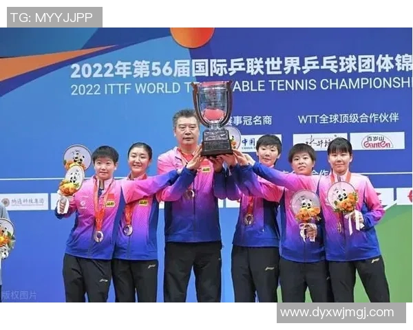 南京乒乓球队团队协作的魅力与挑战探讨