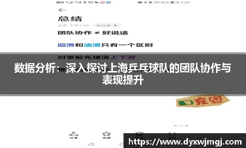 数据分析：深入探讨上海乒乓球队的团队协作与表现提升
