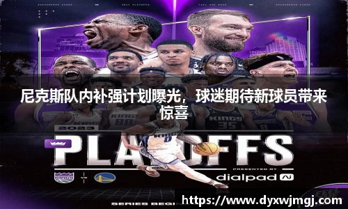 尼克斯队内补强计划曝光，球迷期待新球员带来惊喜
