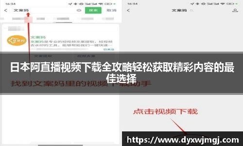 BB贝博