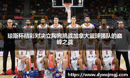 BB贝博登录入口